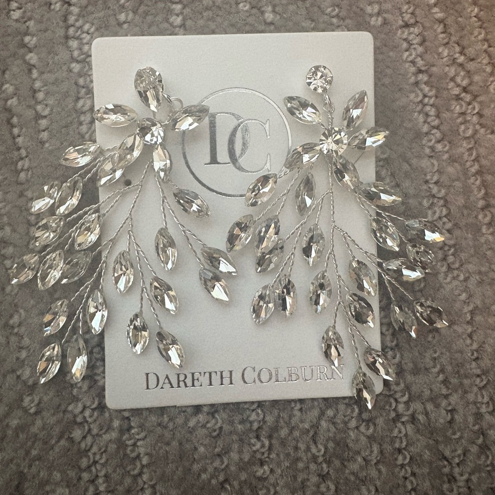 Dareth Colburn Silver Crystal Earrings